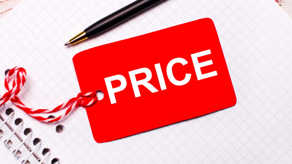 Ile kosztuje profesjonalna strona internetowa? Porównanie cen i ofert.  - Profesjonalne strony internetowe